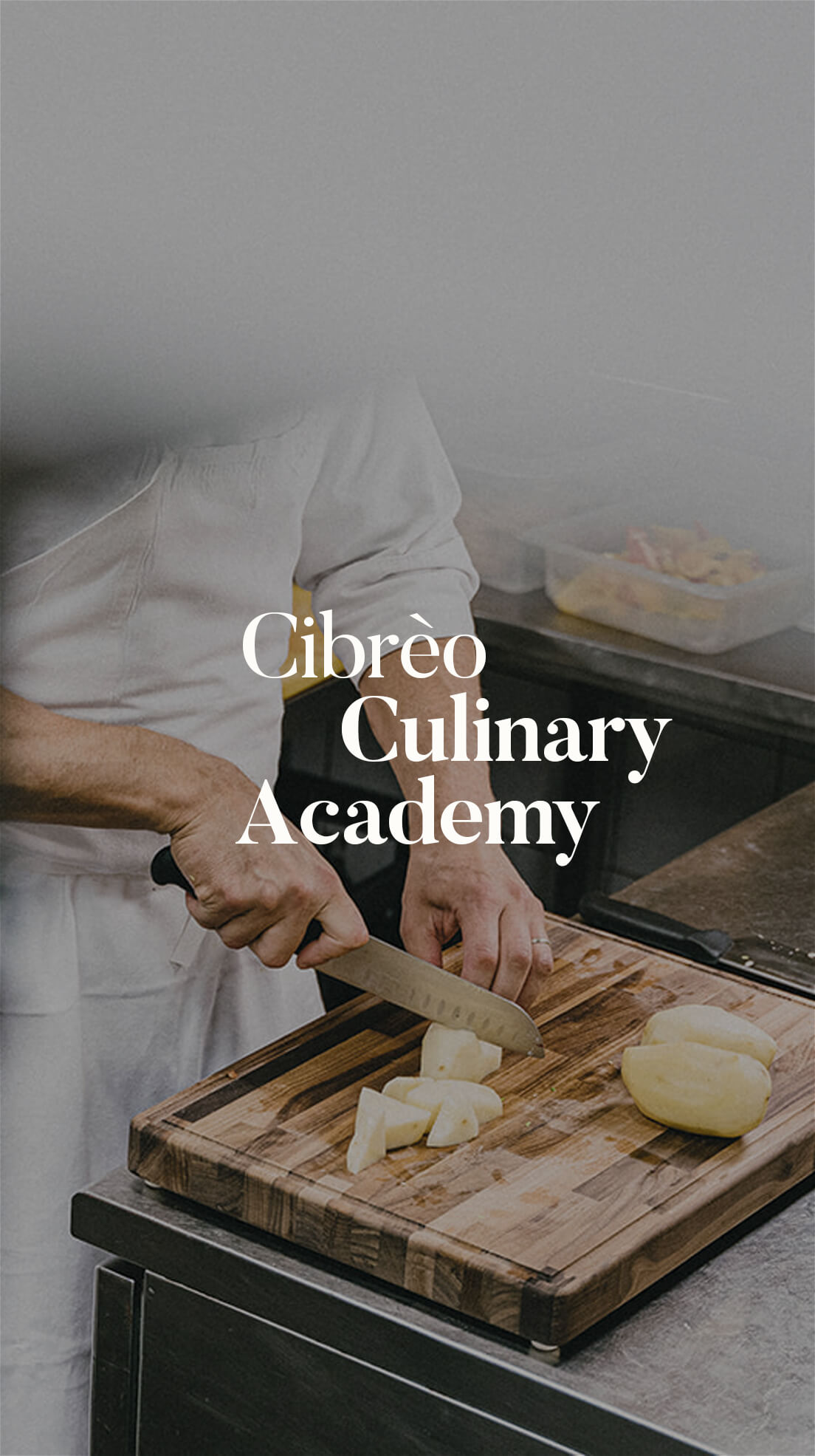 Culinary art school in Italy